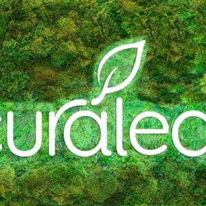 curaleaf-moss-wall